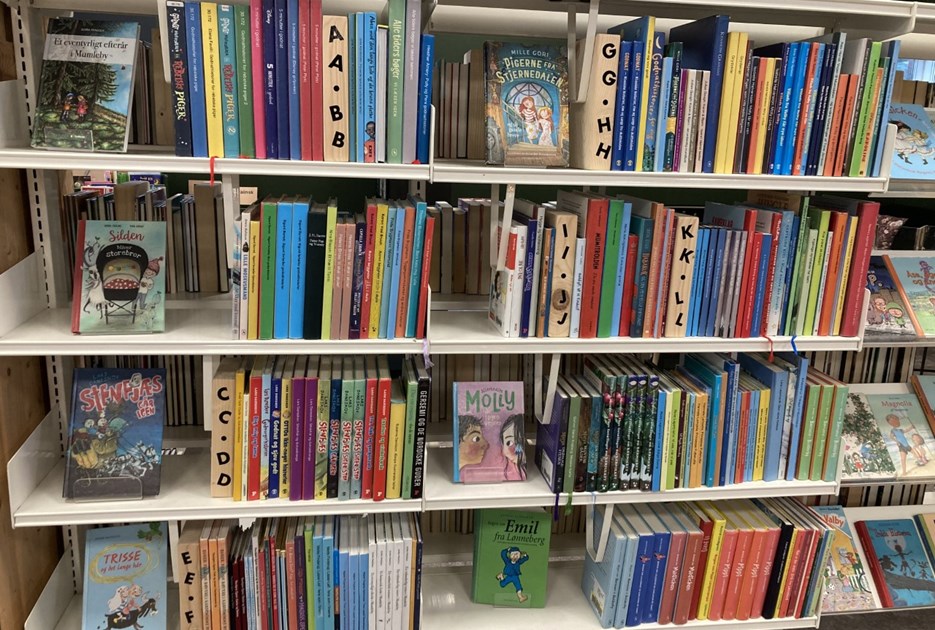 Bøger på reol. Foto: Kulturelt Samråd